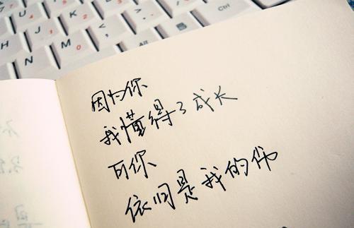 什么样的句子