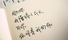 什么像什么的句子