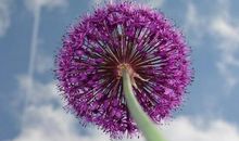 2019女生心情说说