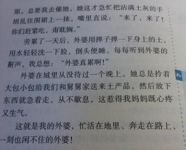 描述男孩外观的段落