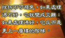 不怕挫折的谚语