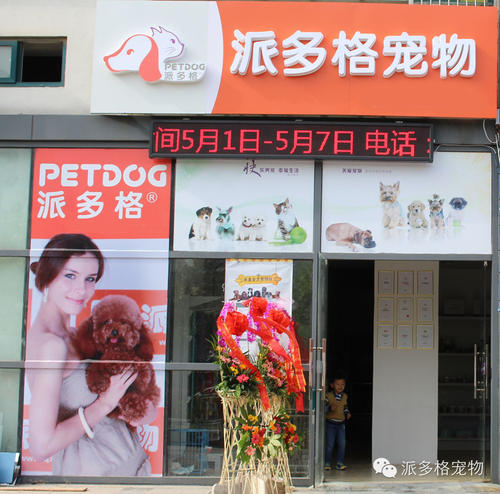 宠物店开业问候