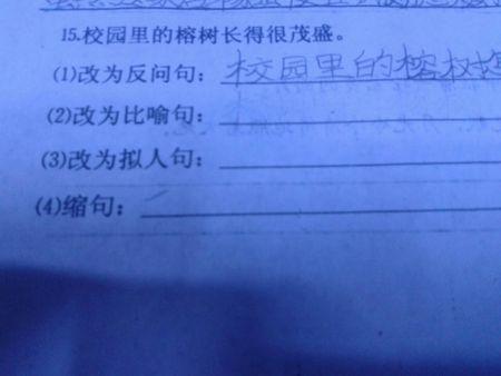 拟人化的句子