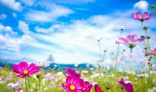 春天景物的诗句