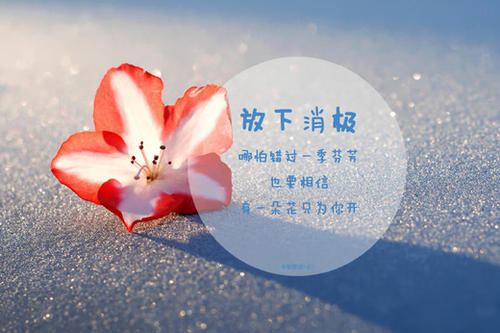 2019签名经典