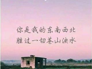 感谢句