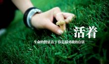 人活着不过是珍惜峥嵘岁月,领略萍水相逢