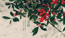 立秋节气的祝福语