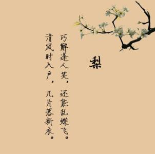 审美孤独