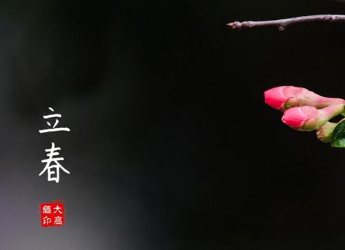 丽春的祝福真有趣