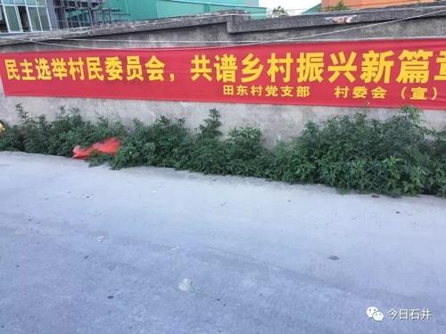 村民选举口号