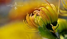 立冬朋友圈祝福语