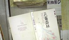 蔡智恒孔雀森林语录