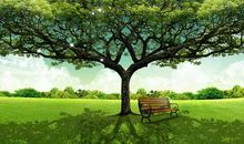 保护树木的一段话