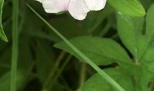 朋友圈短语说说