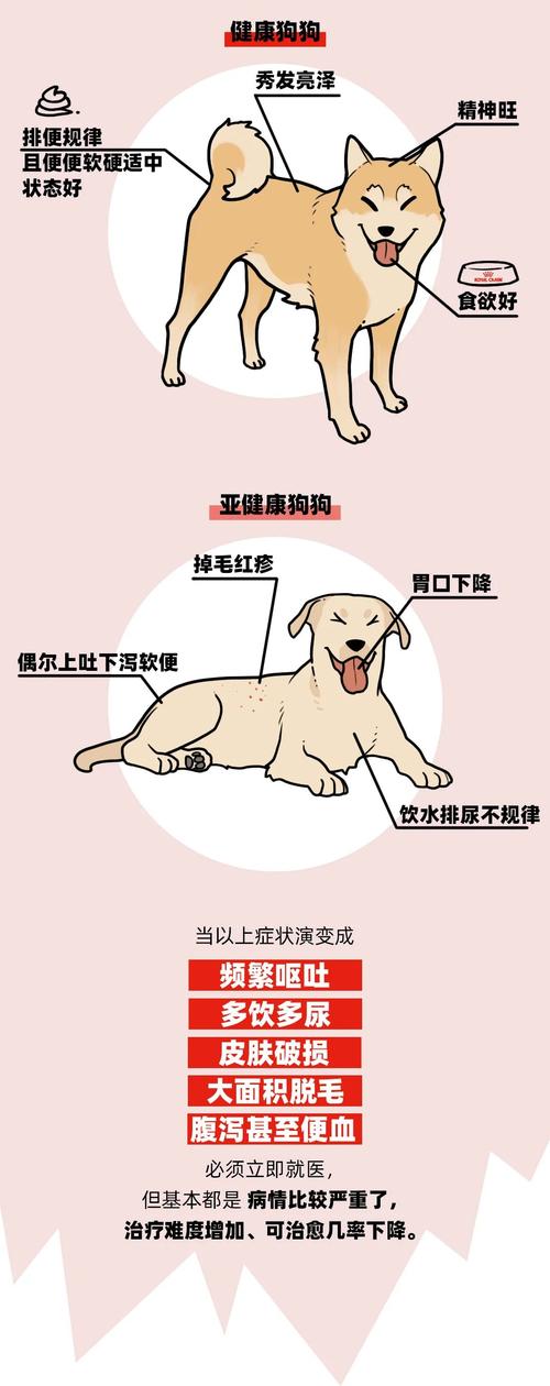 用句子宠爱自己