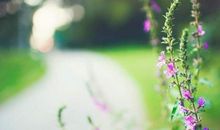 2019最新个性说说