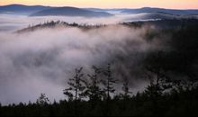 用晨雾写比喻句