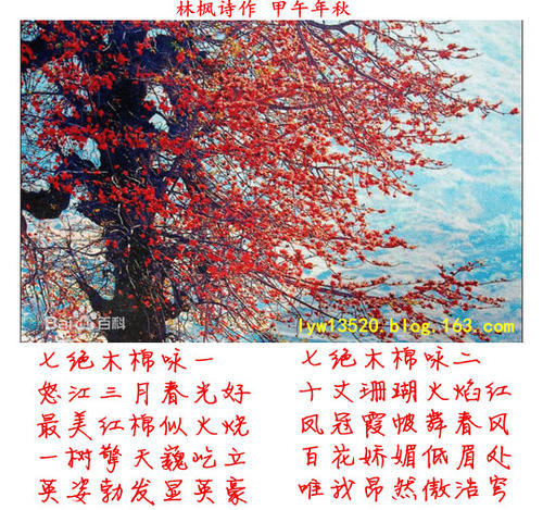 描述木棉的句子
