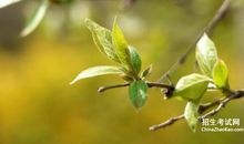 形容勇气比喻句