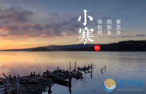 明智的谚语