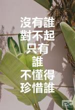 珍惜句子