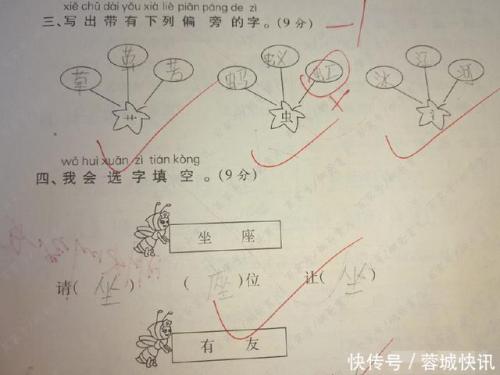 虫的