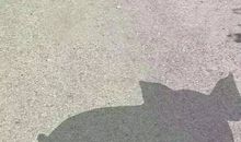 夜以继日造句大全