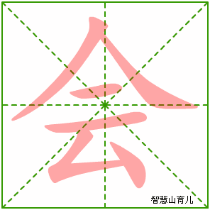 苍蝇会蜘蛛过敏