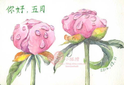 你好可能祝福