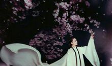 花谢花飞花满天经典台词