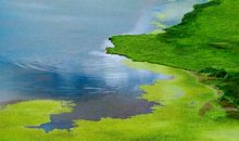 下大雨的拟人句