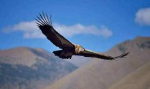 放手去做想做的,别压抑自己,突破人生的枷锁