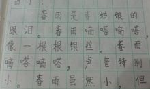 描写春天的一段话