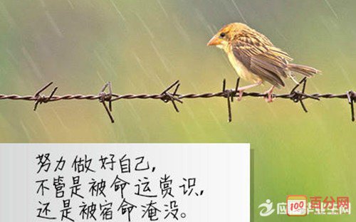 高考的座右铭是简单而霸气