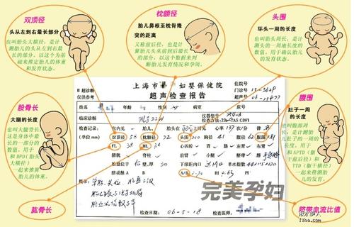 孕妇问候