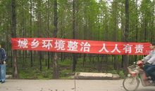 城乡环境综合治理标语