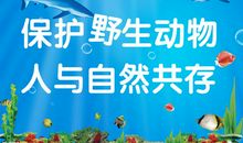 保护动物的标语
