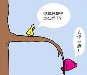 美食家谈论有趣的句子