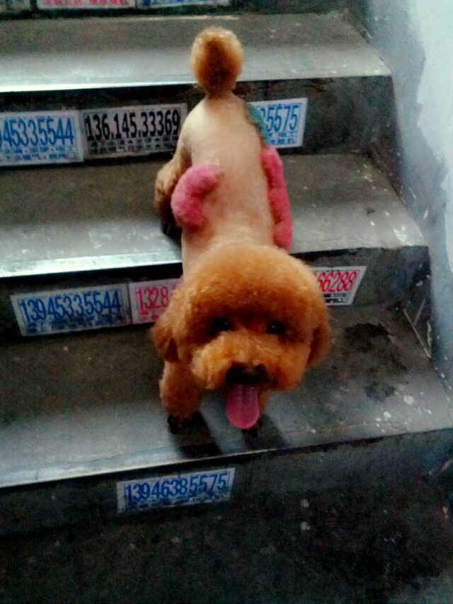 谢谢你的陪伴