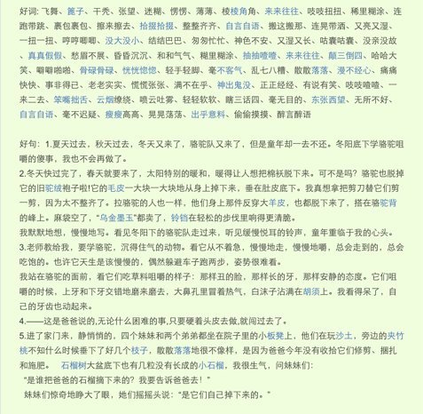 南方的老东西