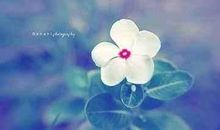 回忆,是弱者的方式;看着前方走,才会胜利