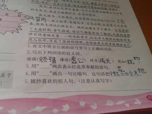 太阳拟人化句子