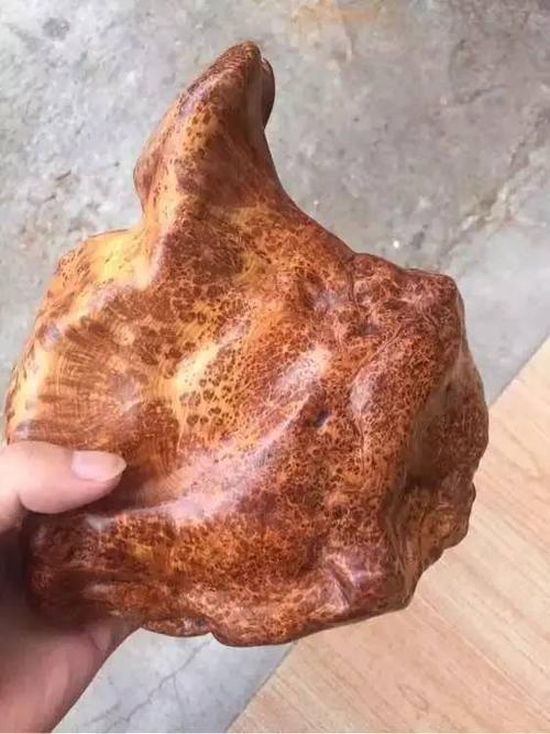 刮蚂蚁腿上的肉