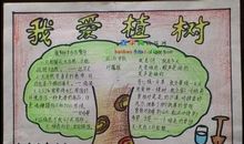 种树的相关谚语