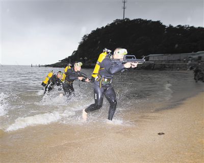 蚂蚁模仿