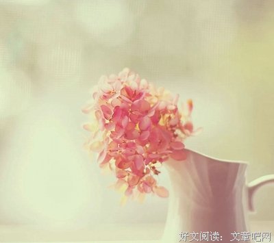 美丽的爱情句子节选