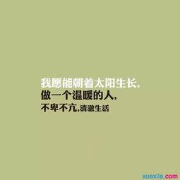 男朋友圈谈