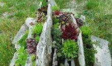 蚂蚁关在鸟笼里歇后语