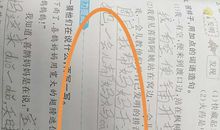 就是造句二年级大全